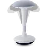 Dynaseat Ds001