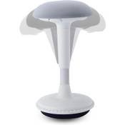 Dynaseat Ds001