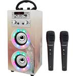 Dynasonic 3º Generation Karaokeanlage