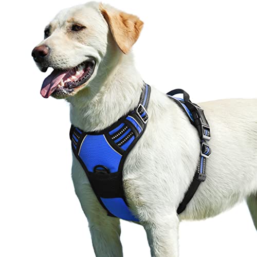 Schleppleine Für Hunde, 10 M – Robuste Nylon-Trainingsleine Mit Drehbarer Schnalle, Gepolstertem D-Ring, Rot