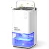 EasyAcc Mini-Luftentfeuchter