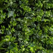 Easyplants Künstliche Hecke Vergleich