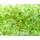 Eco Pure RD391