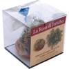 Ecoclass Rose von Jericho