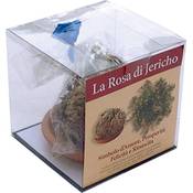 Ecoclass Rose von Jericho