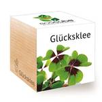 Ecocube Glücksklee