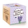 Ecocube Lavendel