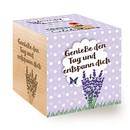 Ecocube Lavendel
