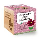Ecocube Schokoladenblume