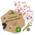 Ecolly Bienenwachstücher