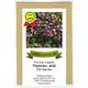 ecotic-samen 53730 Thymian wild Vergleich