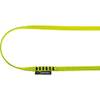 Edelrid Erwachsene Tech Web Sling