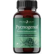 Effective Nature Pycnogenol Pinienrindenextrakt