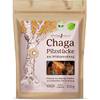 Effective Nature Chaga Pilz Brocken Bio