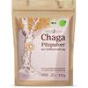 Effective Nature Chaga-Pilz