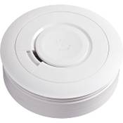 Ei Electronics Ei650W