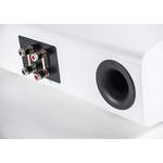Elac CC 241.4 Carina