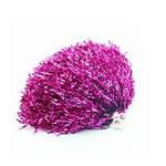Elandy Cheerleader-Pompons