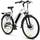 VecoCraft Athena E-Bike