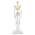 Cranstein Mini-Skelett Modell