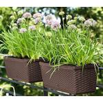 Emsa Blumenkasten 515026