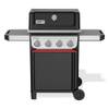 Weber-Gasgrill