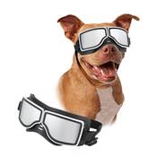 Enjoying Hunde Sonnenbrille