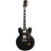 Epiphone B.B. King Lucille