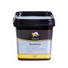 Equanis MuscleActive