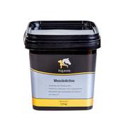 Equanis MuscleActive