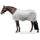 Equinate Guardian