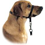 HUNTER Follow me Hundehalfter