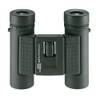 Eschenbach Optik Sektor F