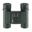 Eschenbach Optik Sektor F