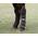 Calevo Eskadron Travelling Boots