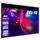 Esmart Economy EXR Rollo-Leinwand