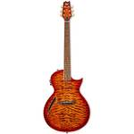 ESP-Gitarren