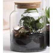 Esschert Design Halboffene Terrarium Flasche AGG68 Vergleich