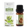 Essences Bulgaria BIO Echter Lorbeer