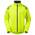 Ettore Night Eagle