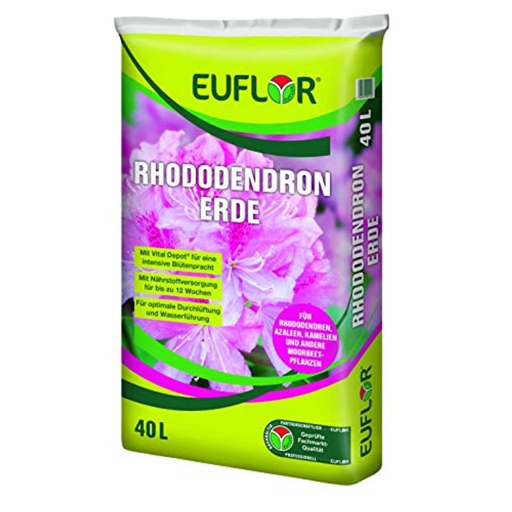 Elegantes Rhododendronerde Für Himbeeren Fotos