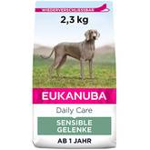 Eukanuba-Hundefutter Test & Vergleich: Top 10
