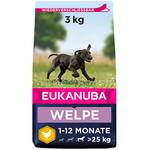 Welpen-Trockenfutter