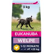 Eukanuba Welpe 1-12  Moante
