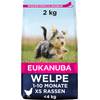 Eukanuba Welpenfutter 1-10 Moante