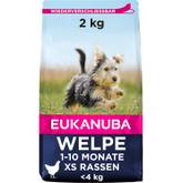 kartoffel aufbewahren Kartoffel-Lager 5,5 l  lichtgeschtzter Frische-Behlter fr optimale  Lagerung