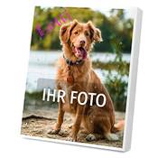Eurofoto Adventskalender für Hunde Vergleich