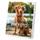 Eurofoto Adventskalender für Hunde