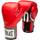Everlast 2100 Pro Style Training Gloves