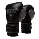 Everlast Powerlock 2R